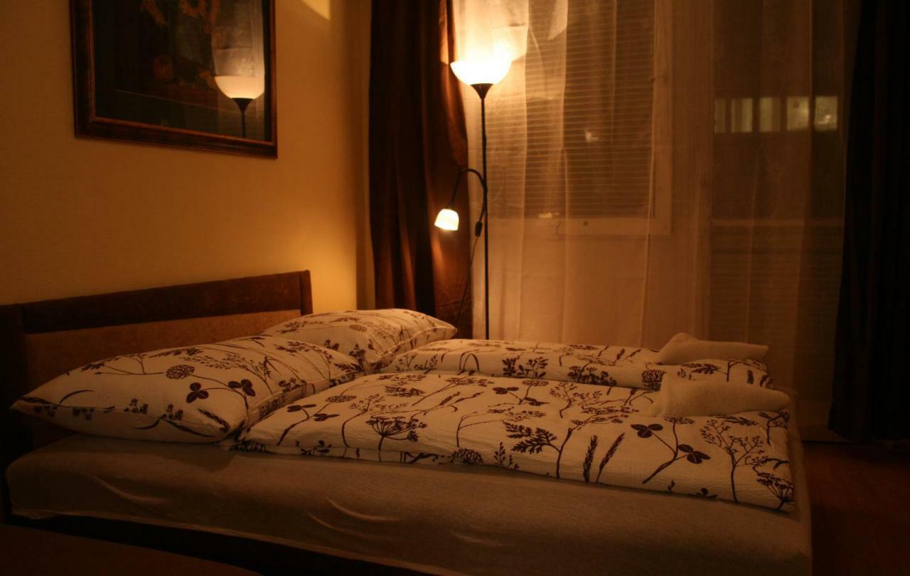 Margaret Bridge Studio Apartment بودابست المظهر الخارجي الصورة